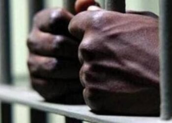 Three arrested after gun, ammunition seized in St Ann, say police | News