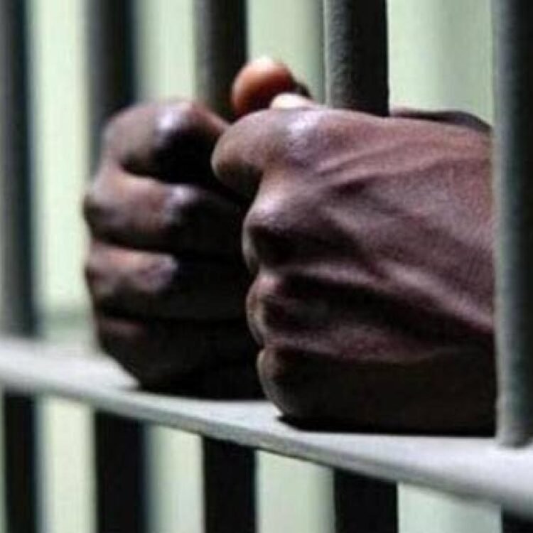 Three arrested after gun, ammunition seized in St Ann, say police | News