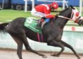 Supernatural Power too good for Vet Day Trophy field | Sports