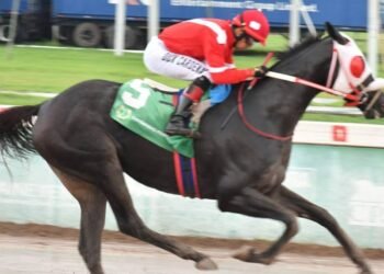 Supernatural Power too good for Vet Day Trophy field | Sports
