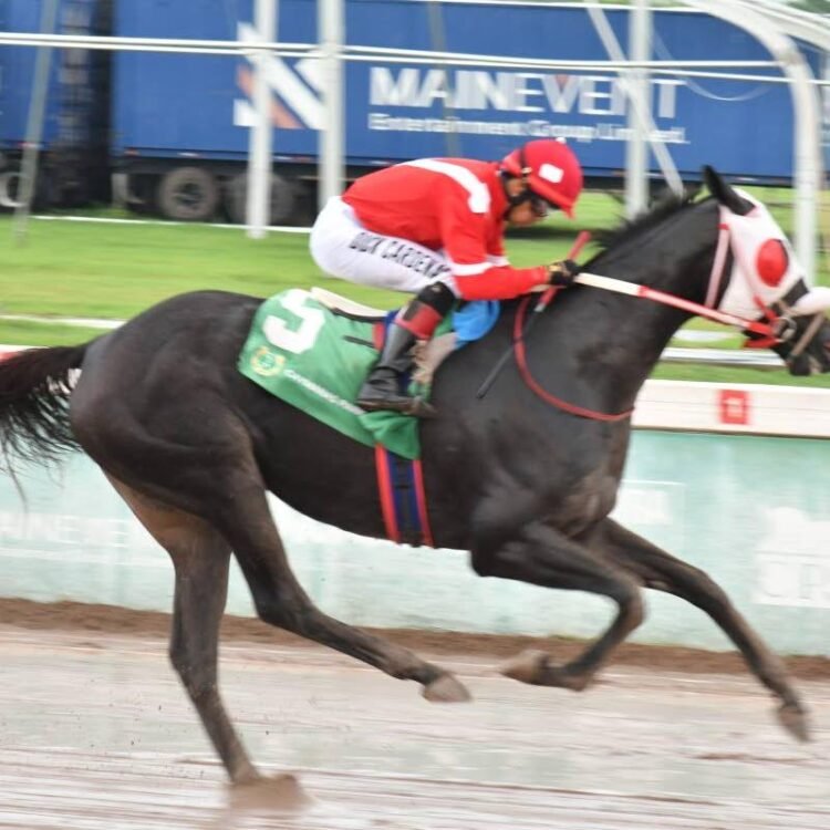Supernatural Power too good for Vet Day Trophy field | Sports