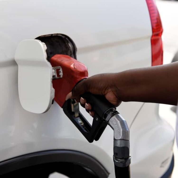Gas prices to go up $4.50 | Business