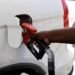 Gas prices to go up $4.50 | Business