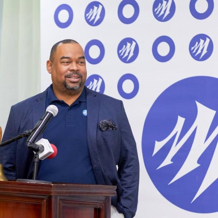 Mayberry Investments taps bond market to refinance $2b | Business