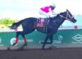 Rideallday shows classic pedigree in Ian Levy Cup | Sports