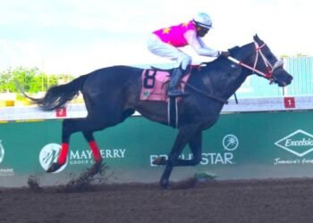 Rideallday shows classic pedigree in Ian Levy Cup | Sports