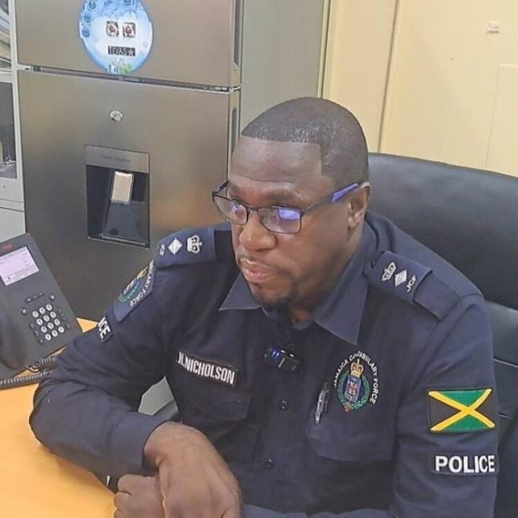 St Catherine North police raise alarm over increase in sexual offences against children | News