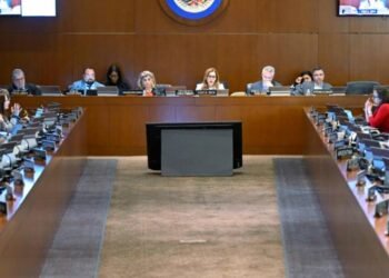Jeanelle van GlaanenWeygel | Celebrating OAS-Jamaica partnership | In Focus