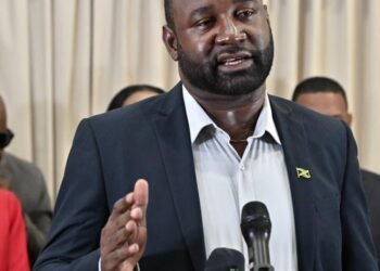 PNP MPs in Westmoreland and Hanover want Melissa electricity, shelter issues addressed | News