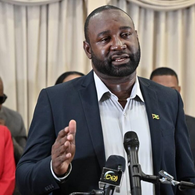 PNP MPs in Westmoreland and Hanover want Melissa electricity, shelter issues addressed | News