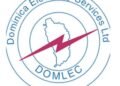 Electricity provider in Dominica increases fuel surcharge for customers | World News