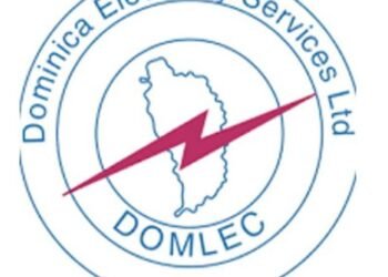 Electricity provider in Dominica increases fuel surcharge for customers | World News