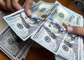 A strange prediction about the price of the dollar in the coming days / historical jump or fatal fall?