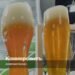 The beneficiary repaid 12.6 billion rubles. tax debt of the Trekhsosensky brewery