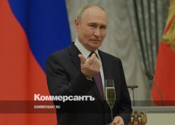 Boxers supported Putin: awards in the Kremlin and words of gratitude