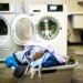 Call: Do you have arguments in the shared laundry room?