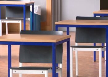 Room for improvement: Teachers’ union remains uncertain over inclusion measures