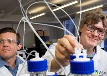 Forget Ozempic: How a ubiquitous molecule could help treat obesity and heart disease