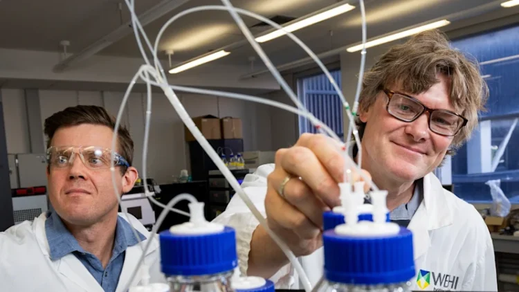 Forget Ozempic: How a ubiquitous molecule could help treat obesity and heart disease