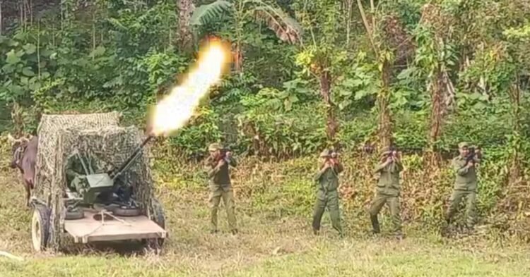 Opinion: A pair of oxen, innovations in military strategy in Cuba