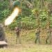 Opinion: A pair of oxen, innovations in military strategy in Cuba