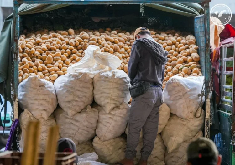 Manila Bulletin – Marcos removes toll fees for trucks transporting vegetables from Mountain Province