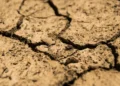 Manila Bulletin – PAGASA raises El Niño alert as likelihood of development climbs to 79% as early as June