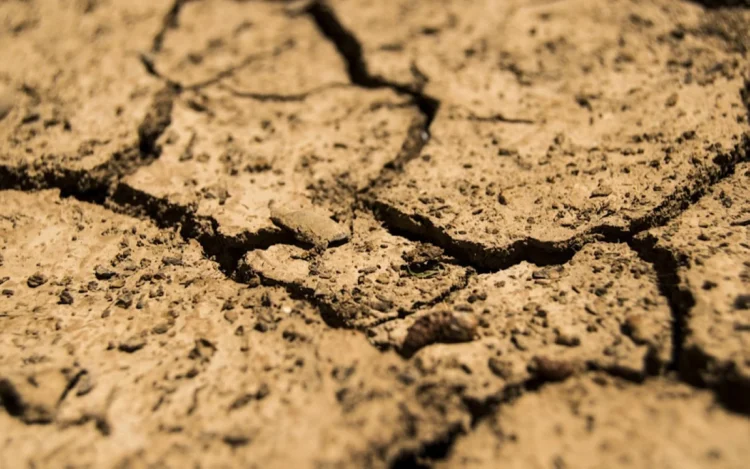 Manila Bulletin – PAGASA raises El Niño alert as likelihood of development climbs to 79% as early as June