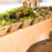 We need to support rural stores – MP on price regulation