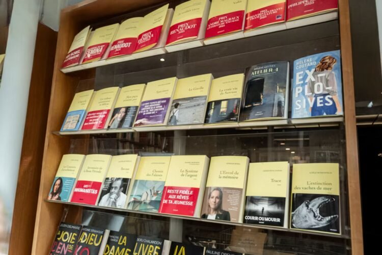 Vincent Bolloré’s troubling grip on French publishing