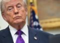 War in Iran: Trump says he is “shocked” by Meloni’s lack of “courage”