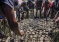 It’s time to give carbon removal a chance | Climate Crisis