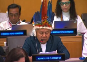 Cultural Exclusion and Mining Encroachment Fuel Indigenous Health Crisis in Guyana – APA President Tells UN Forum
