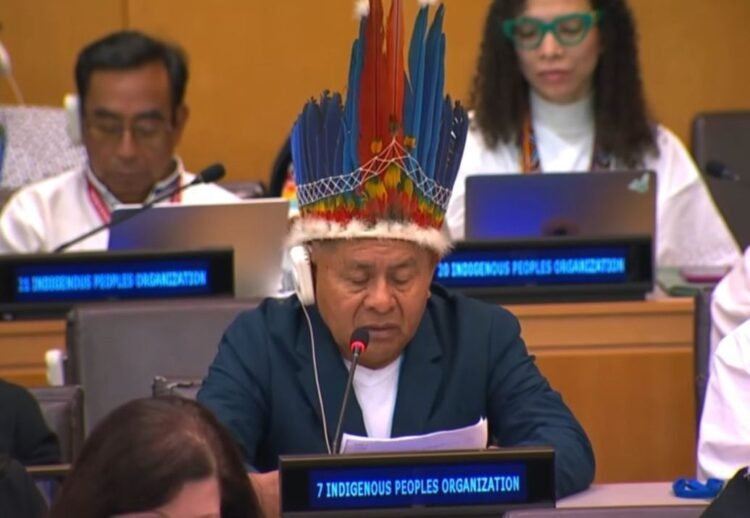 Cultural Exclusion and Mining Encroachment Fuel Indigenous Health Crisis in Guyana – APA President Tells UN Forum