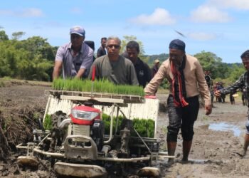 Govt promotes agricultural mechanisation and boosts rice production in Aileu and Ainaro
