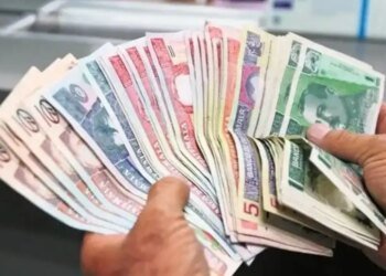 Analysts question lack of clarity in program cuts to finance fuel subsidies