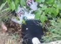 No foul play suspected in death at Richmond — police – iWitness News