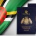 Dominica revokes citizenship of second son of Iranian political adviser