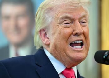 Donald Trump says Iran has “no card” beyond control of the Strait of Hormuz | United States | Israel