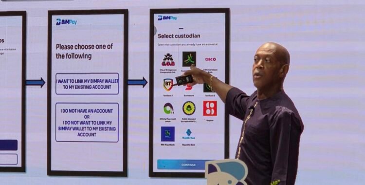 Fee-free access, security limits for BiMPay – Central Bank