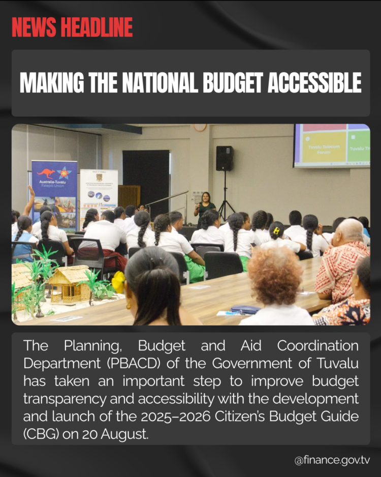 Making the National Budget Accessible