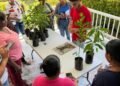 Free agriculture training course targets food security, climate resilience