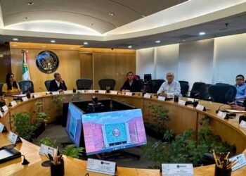 Friends of Morena, the finalists for the INE council opposition denounces illegality