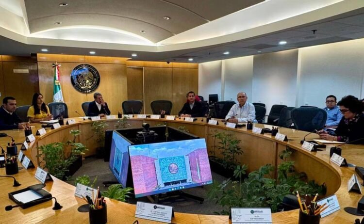 Friends of Morena, the finalists for the INE council opposition denounces illegality