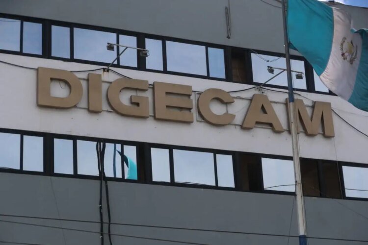 Digecam hacking: how affected users will be contacted and what procedure they must follow