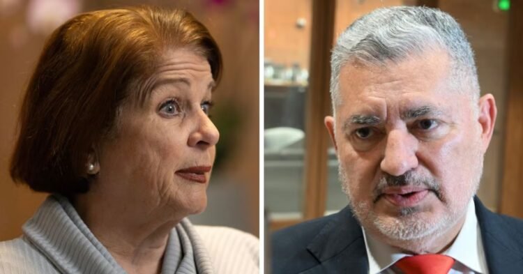 Pilar Cisneros: the appointment of José Miguel Villalobos’s son ‘is a care network’, even though Rodrigo Chaves did it
