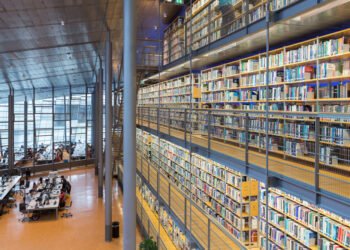 Dutch plan to launch two new doctorates: PD and EngD