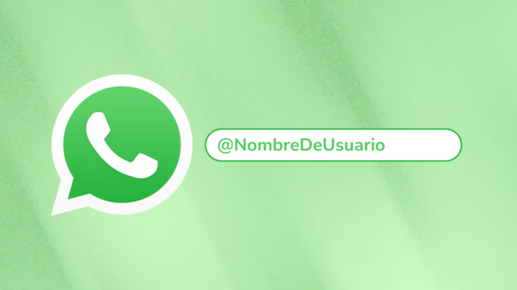 WhatsApp: usernames will replace the phone number