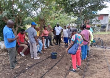 12 farmers receive sprinkler irrigation training