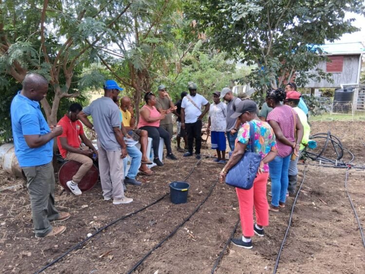 12 farmers receive sprinkler irrigation training